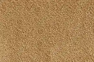 Ковролин AW Strada 48 фото  | FLOORDEALER